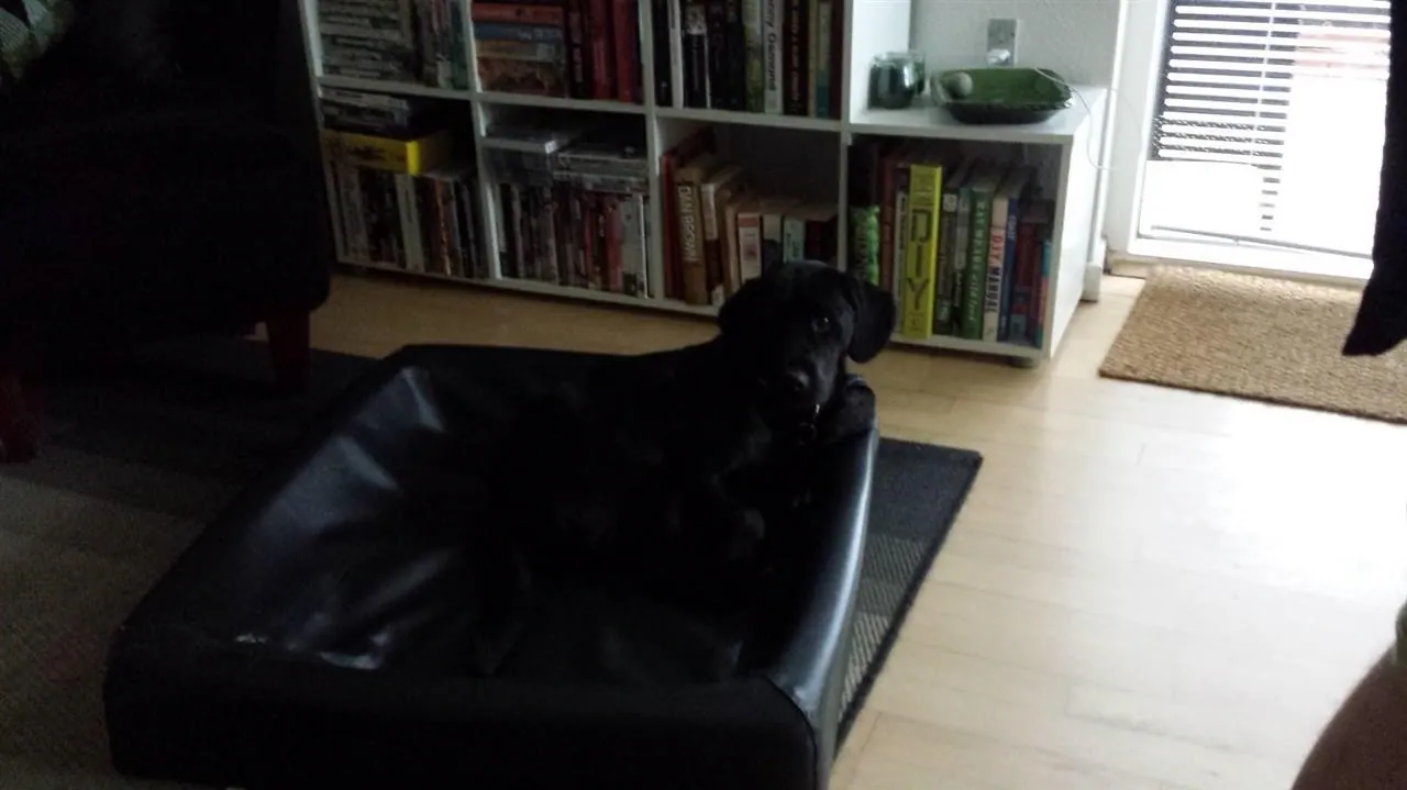 G22.3 last day with mette ian oscar otis assens (11a) (1)